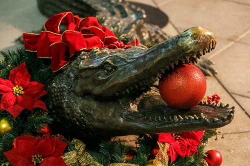 A festive alligator sculpture wearing a red bow, holding a shiny ornament, surrounded by holiday decorations.