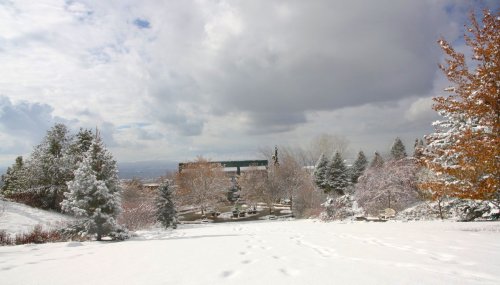 A snowy landscape with trees and a cloudy sky, showcasing a serene winter scene.