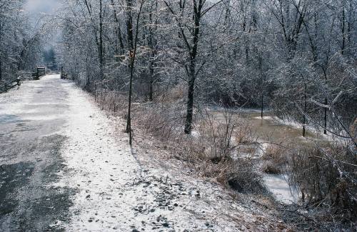 A snowy path beside a frozen stream, surrounded by bare trees and a serene winter landscape.