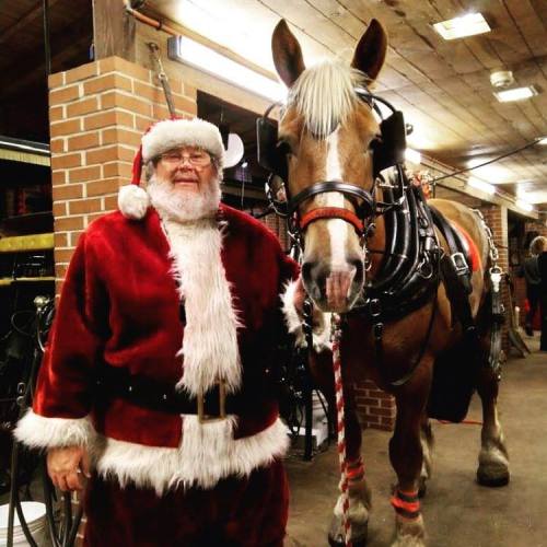A man in a Santa suit stands next to a horse in harness, both smiling in a festive barn setting.