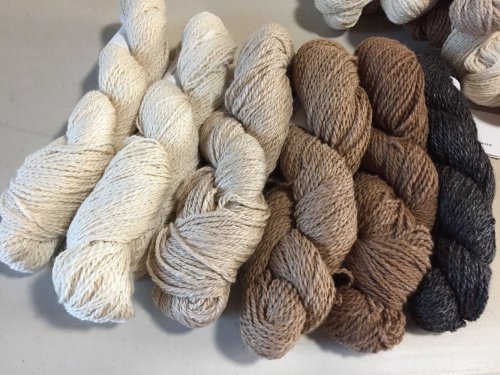 A collection of yarn skeins in various shades of cream, tan, brown, and dark brown, arranged neatly on a surface.