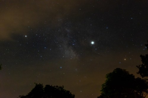 A starry night sky filled with stars, clouds, and a hint of the Milky Way, framed by silhouetted tree tops.
