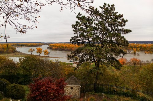 A scenic view of a river surrounded by autumn trees, with a cloudy sky and a large tree in the foreground.