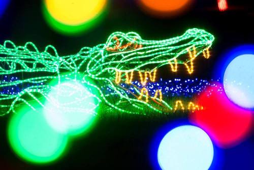 A glowing green alligator made of lights, surrounded by colorful bokeh effects in the background.