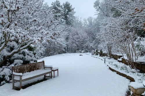 A snowy garden path lined with trees, featuring a wooden bench covered in snow.