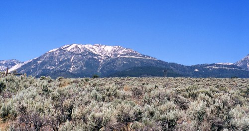 A vast landscape of sagebrush with snow-capped mountains under a clear blue sky.