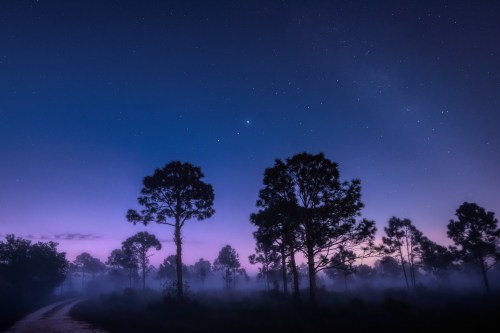 A serene landscape at dusk with silhouetted trees and a starry sky, featuring a misty road and soft purple hues.