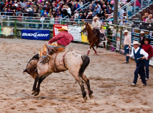 A cowboy rides a bucking horse in a rodeo arena, surrounded by spectators and other cowboys.