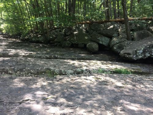 A rocky riverbank surrounded by lush green trees, with smooth stones and a shallow stream flowing through.