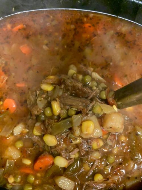 A close-up of a ladle scooping hearty beef stew with vegetables and herbs in a pot. Steam rises from the dish.