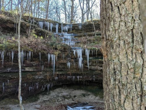 Icicles hang from rocky ledges in a forested area, with a tree trunk in the foreground and a serene, natural setting.