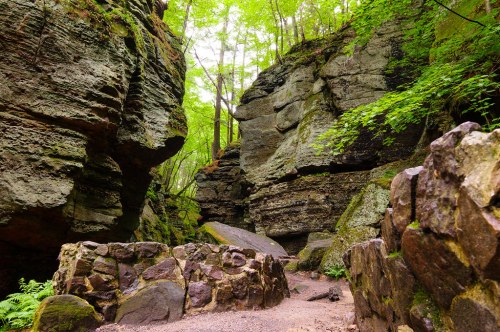 A serene forest scene featuring towering rock formations and lush green foliage along a winding path.