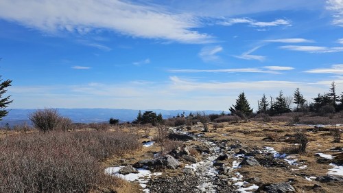 A rocky path leads through a grassy landscape with sparse trees under a blue sky with wispy clouds.