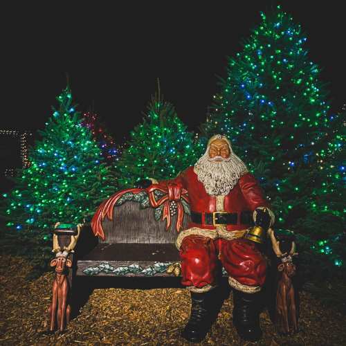 A life-sized Santa Claus statue sits on a bench, surrounded by brightly lit Christmas trees.