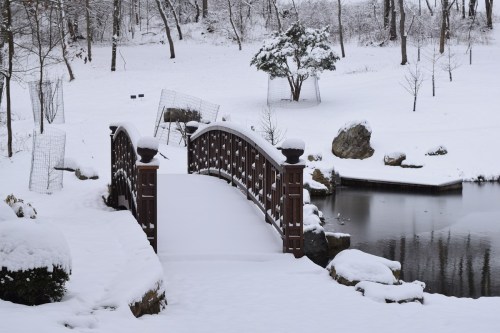 A snow-covered wooden bridge over a calm pond, surrounded by trees and a winter landscape.