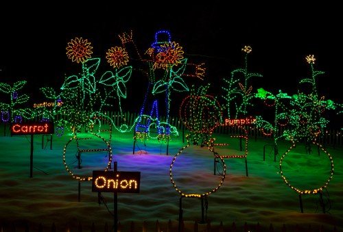 Colorful holiday lights display featuring flowers and vegetables, including a scarecrow, in a snowy landscape.