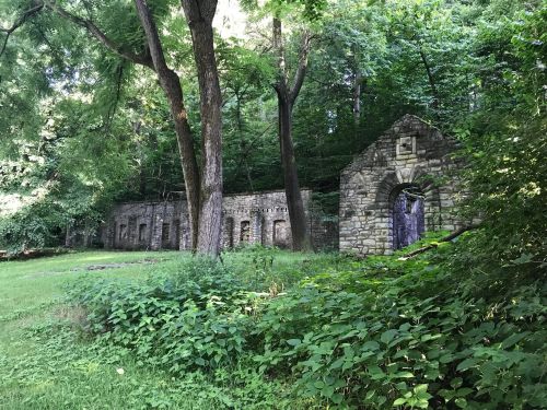 Stone ruins surrounded by lush greenery and trees in a forested area.