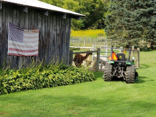 A rustic barn with an American flag, a green tractor, and a fenced area with livestock in a grassy field.