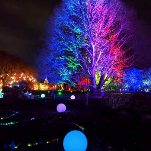 A colorful tree illuminated with vibrant lights, surrounded by glowing orbs and festive decorations in a nighttime setting.