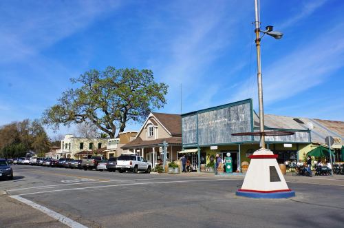 A quaint street scene featuring shops, parked cars, and a large tree under a clear blue sky.