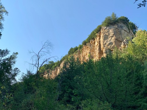 A tall, rocky cliff rises above a dense green forest under a clear blue sky.