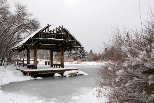 A wooden pavilion on a frozen pond, surrounded by snow-covered trees and shrubs under a gray sky.