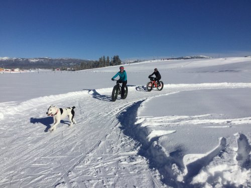 Two people ride fat bikes on a snowy trail, while a dog runs alongside them under a clear blue sky.