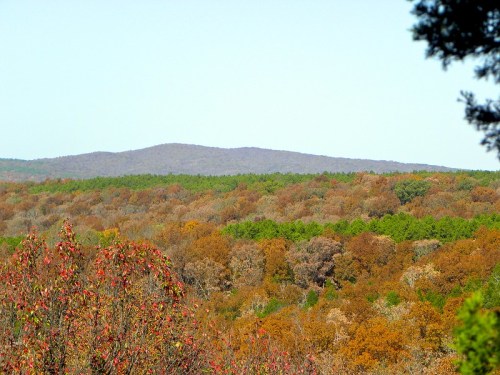 A scenic view of rolling hills covered in autumn foliage, featuring vibrant reds, oranges, and greens under a clear sky.
