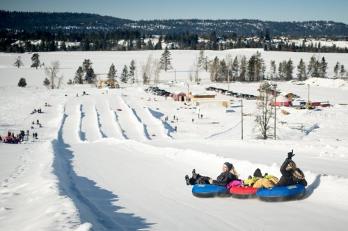 Three people in colorful snow tubes slide down a snowy hill, surrounded by a winter landscape and trees.