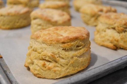 Freshly baked, golden-brown biscuits on a baking sheet lined with parchment paper.
