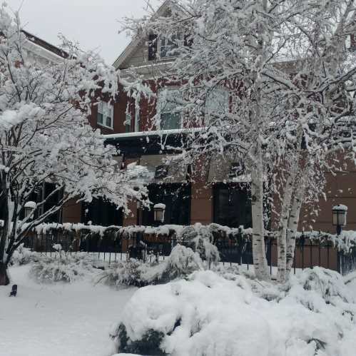 A snowy scene featuring a house surrounded by snow-covered trees and bushes, creating a winter wonderland atmosphere.