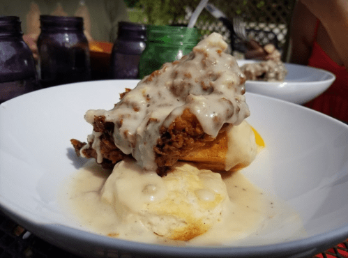 A plate of biscuits topped with fried chicken and creamy gravy, served in a sunny outdoor setting.