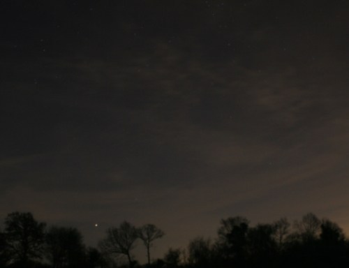 A night sky filled with stars and clouds, silhouetted trees in the foreground.