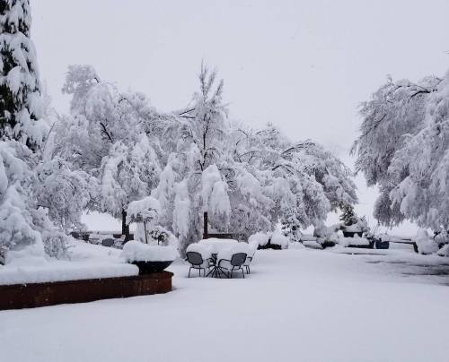 A winter scene with heavy snow covering trees and a table set with chairs, creating a serene, white landscape.