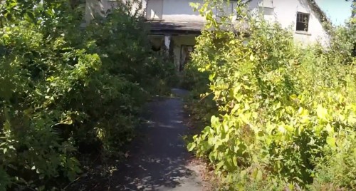 Overgrown path leading to a dilapidated building, surrounded by dense greenery and sunlight filtering through the leaves.