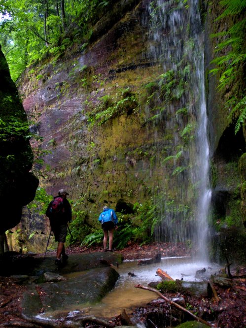 Two hikers explore a lush, green forest with a waterfall cascading down a mossy rock face.