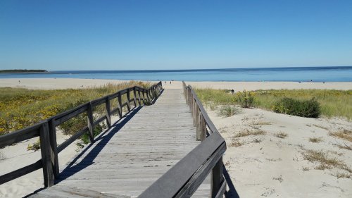 A wooden boardwalk leads to a sandy beach with gentle waves and clear blue skies, surrounded by greenery and flowers.