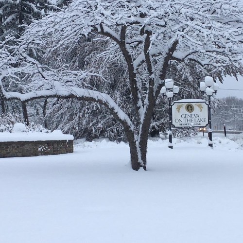 A snowy landscape featuring a tree and a sign for "Geneva on the Lake" surrounded by a blanket of fresh snow.