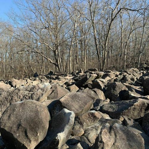 A rocky landscape with large boulders scattered on the ground, surrounded by bare trees against a clear blue sky.