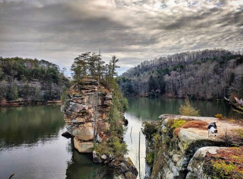 A scenic view of a rocky cliff by a calm lake, surrounded by trees and a cloudy sky, with a dog exploring the edge.