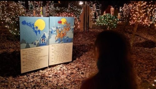 A person stands in front of illuminated storyboards depicting a winter scene with reindeer and a snowy landscape.