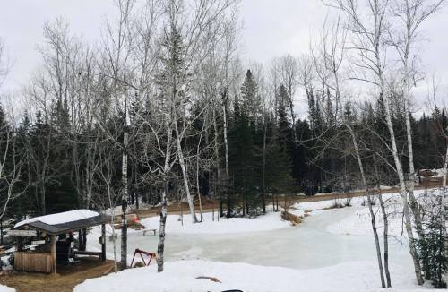 A snowy landscape with bare trees, a frozen pond, and a small wooden structure in a forested area.