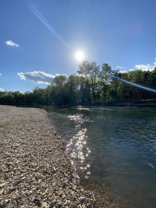 A sunlit riverbank with sparkling water, surrounded by trees under a clear blue sky.