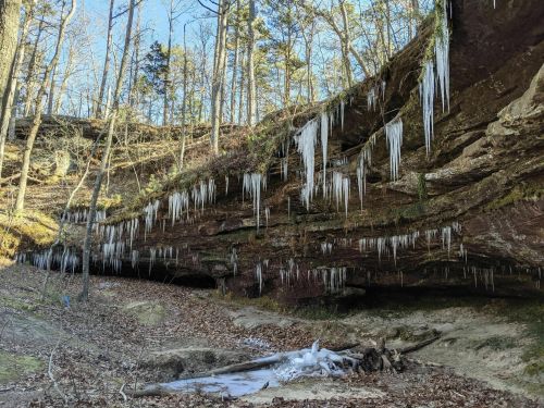 Icicles hang from a rocky overhang in a forest, with bare trees and fallen leaves on the ground below.
