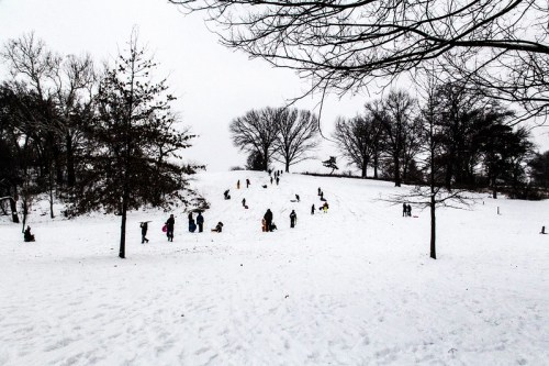 People sledding and playing in a snowy park, with trees in the background and a cloudy sky overhead.