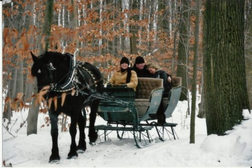 A horse-drawn sleigh carries three people through a snowy forest with autumn leaves on the trees.