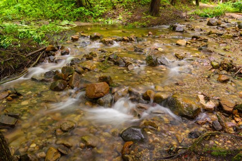 A serene stream flows over smooth stones, surrounded by lush green foliage in a tranquil forest setting.