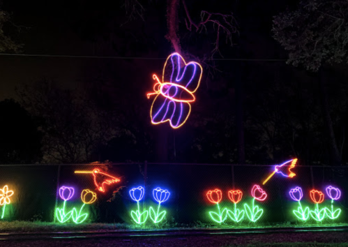 Colorful neon lights depicting flowers, a butterfly, and hummingbirds against a dark night sky.