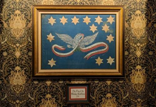 A framed historical flag featuring a bird and stars, displayed against a patterned wall.