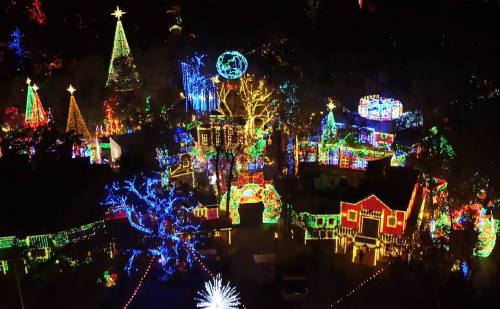 A vibrant display of colorful Christmas lights illuminating trees and buildings in a festive holiday scene.
